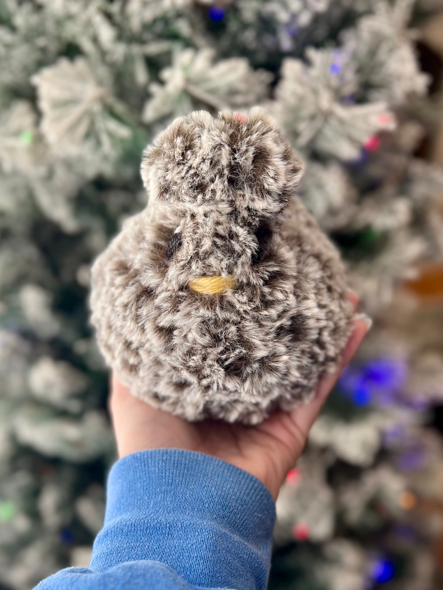 Belle of the Ball: The Flock